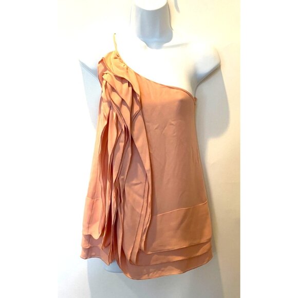 BCBGMaxAzria Blush Pink One Shoulder 100% Silk Ruffle Blouse Top Size S - Picture 5 of 15